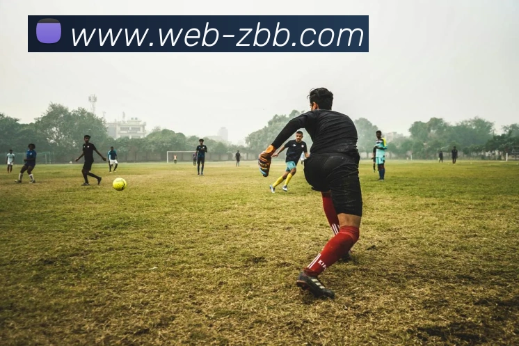 App Interface Preview